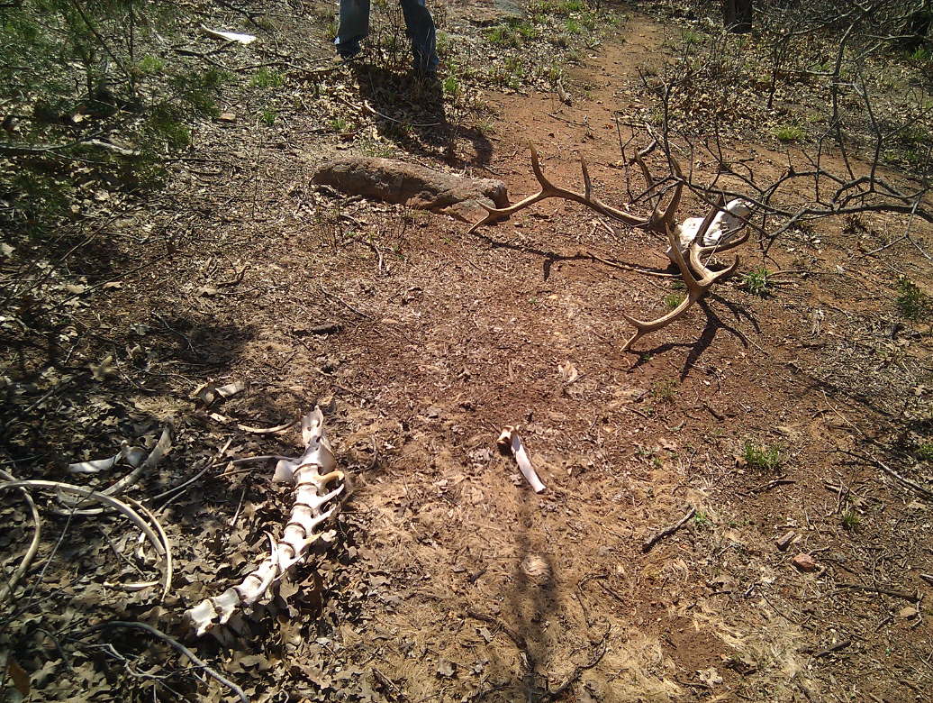 imag0407.jpg