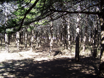 100_0750.jpg