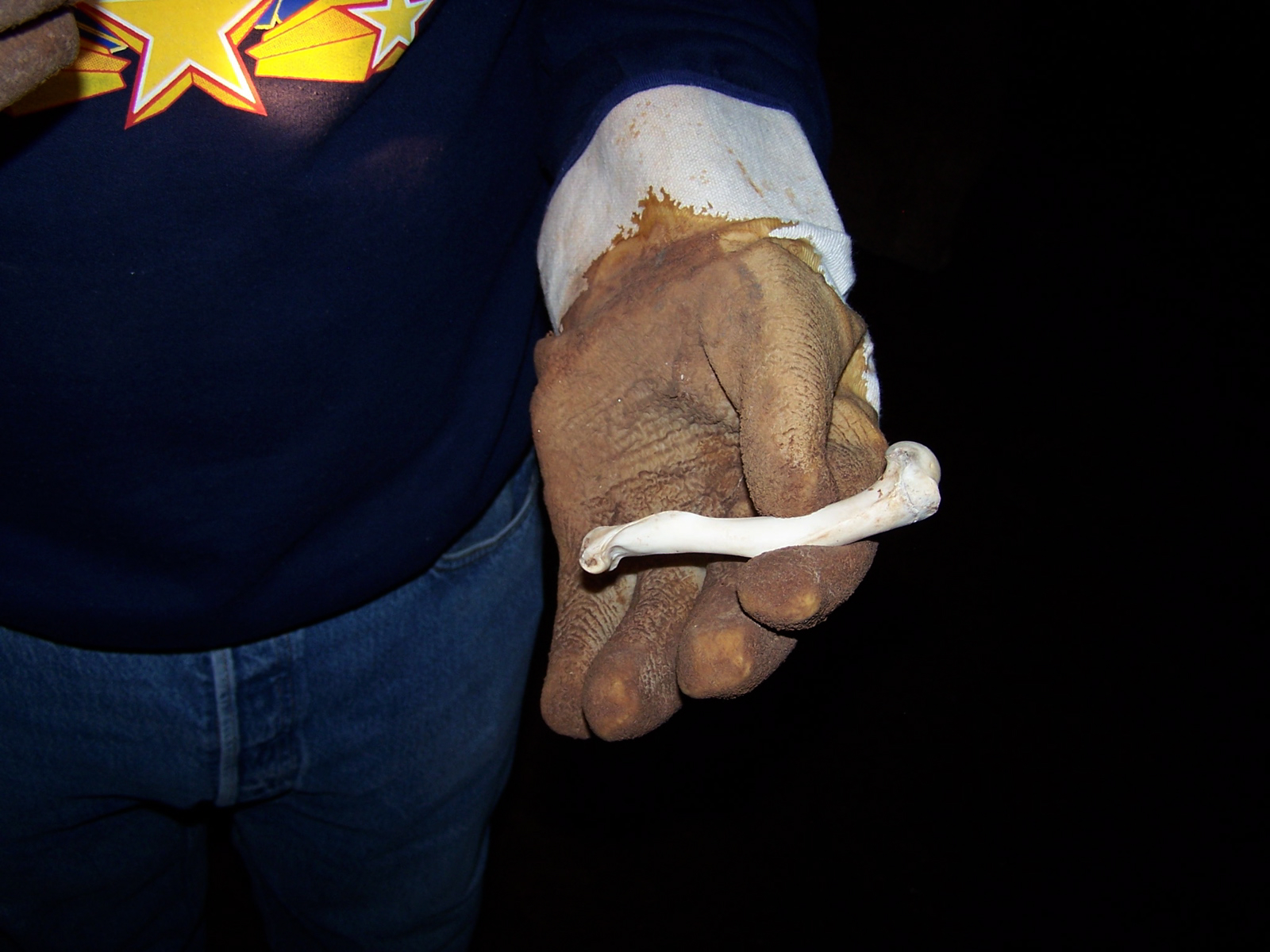 100_1315.jpg