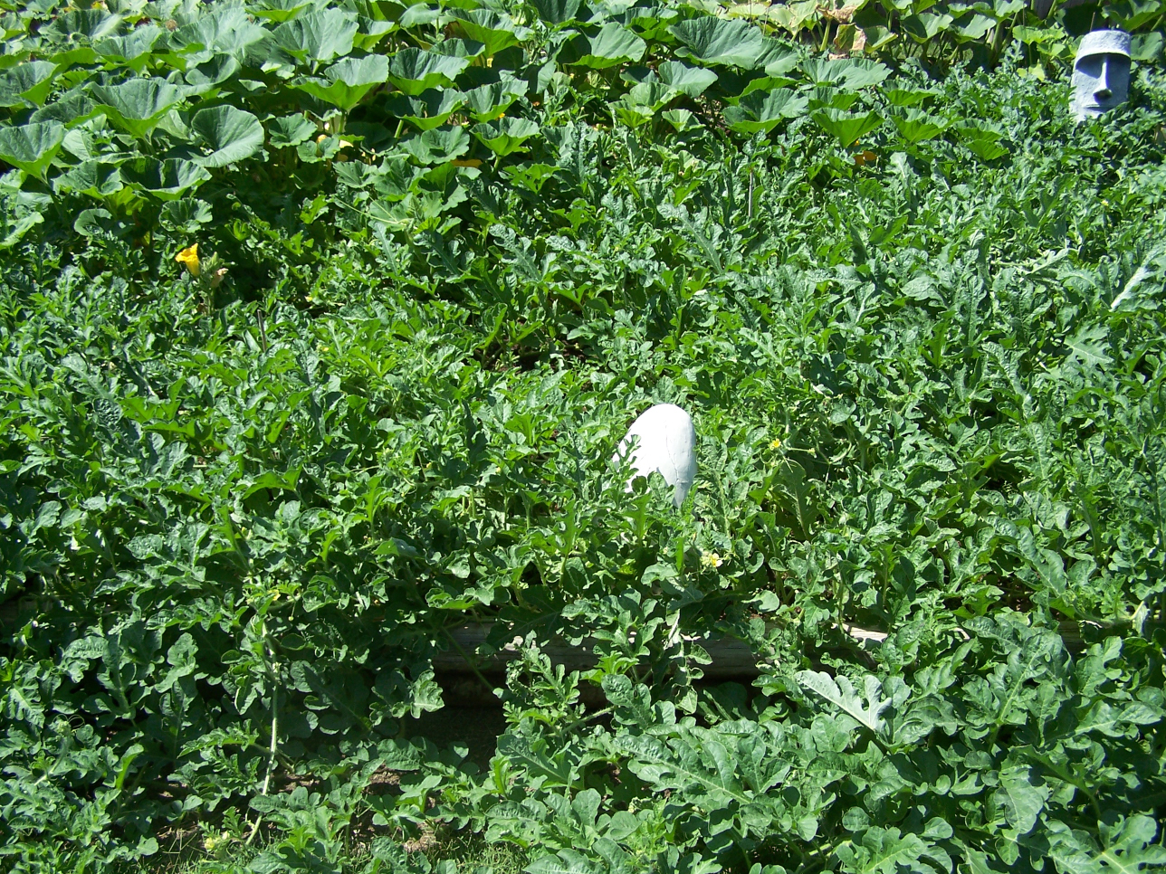 100_3542.jpg
