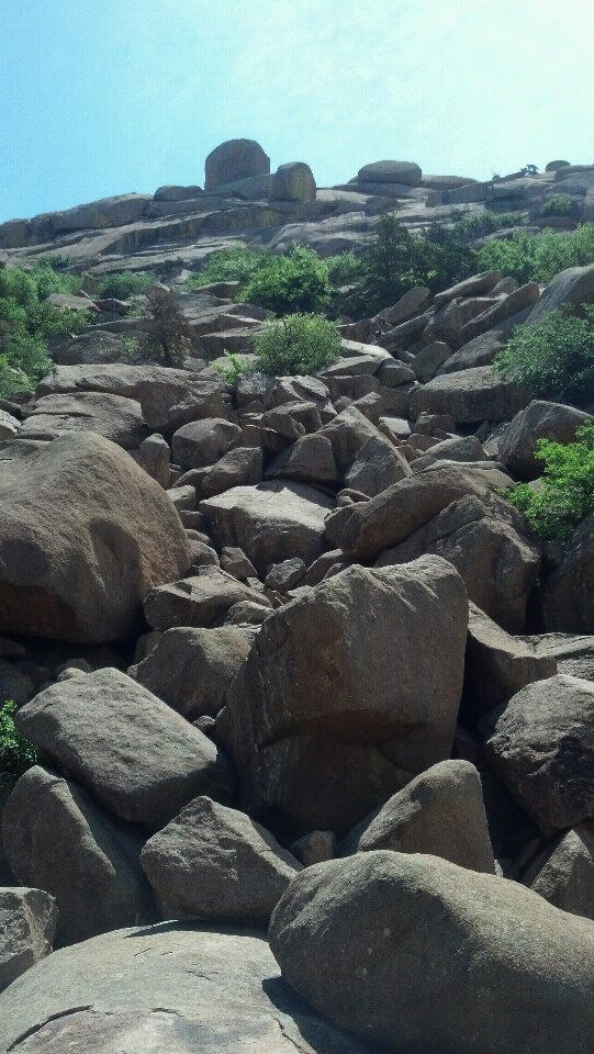 westsideofelkmt.jpg