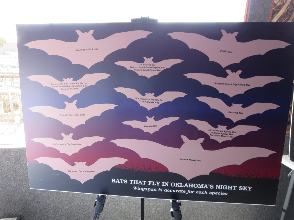 battrailer02.jpg