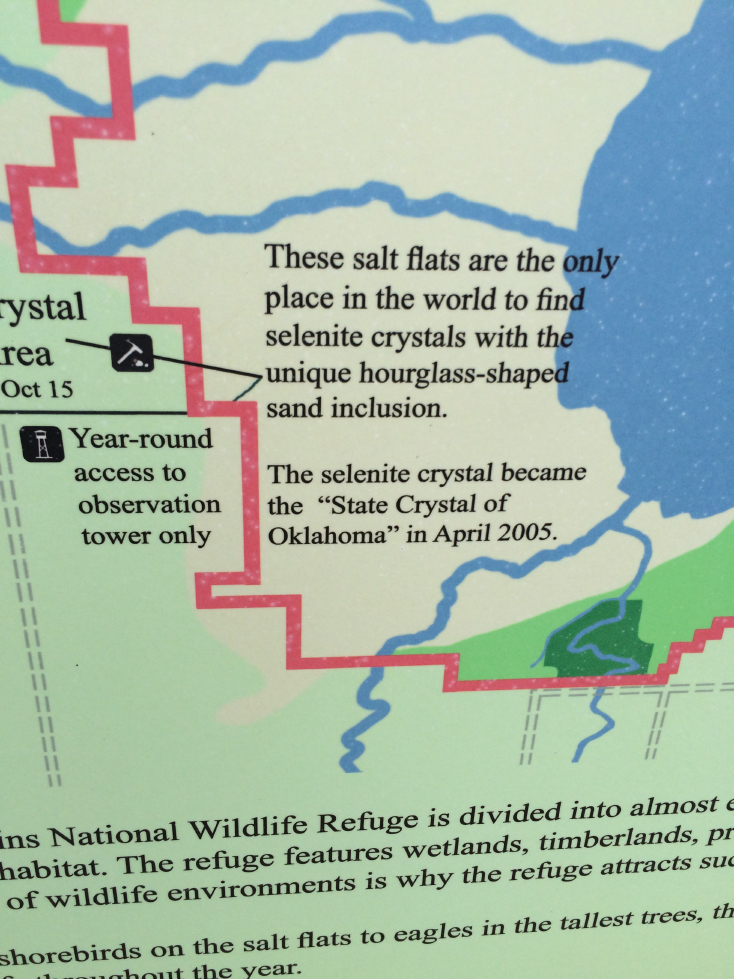 salt plains (1).jpg