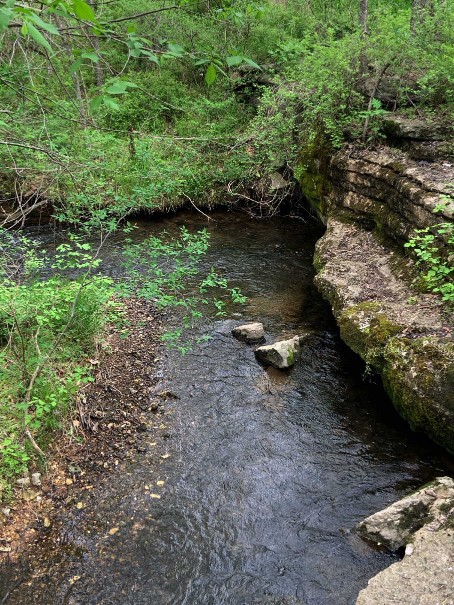 ark trip (18).jpg