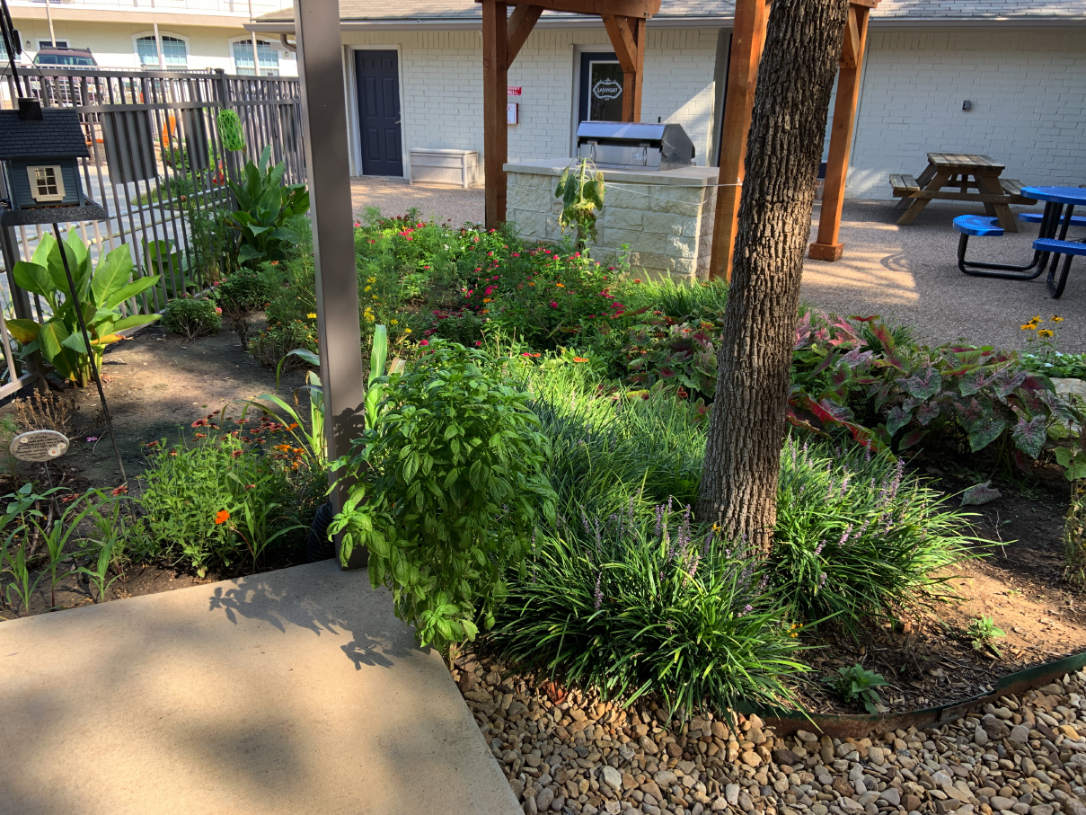 garden08.jpg