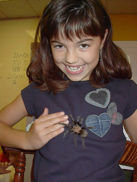 spider01.jpg